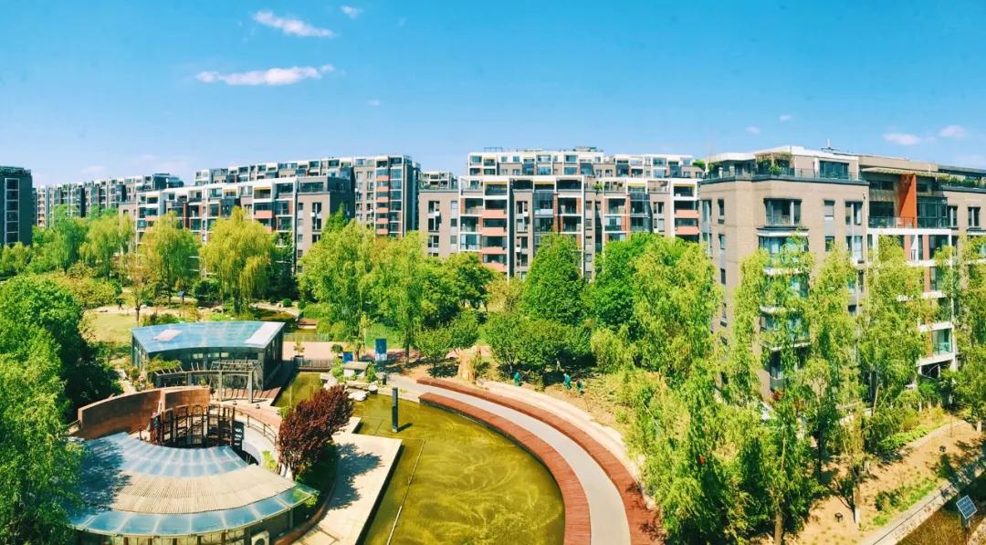 奥森新消息,奥森740