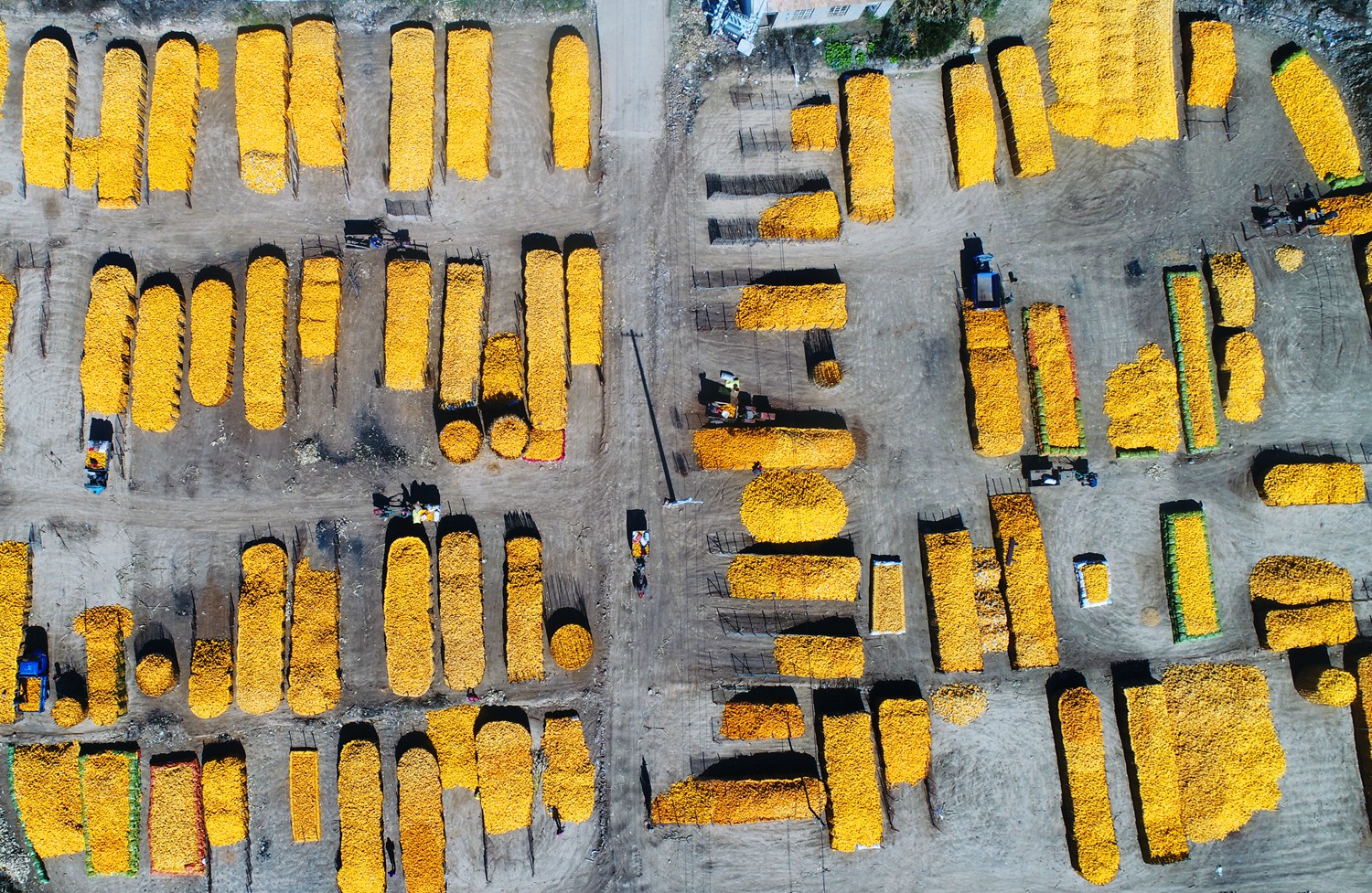 丰收快乐节,农民丰收节唱出丰收喜悦