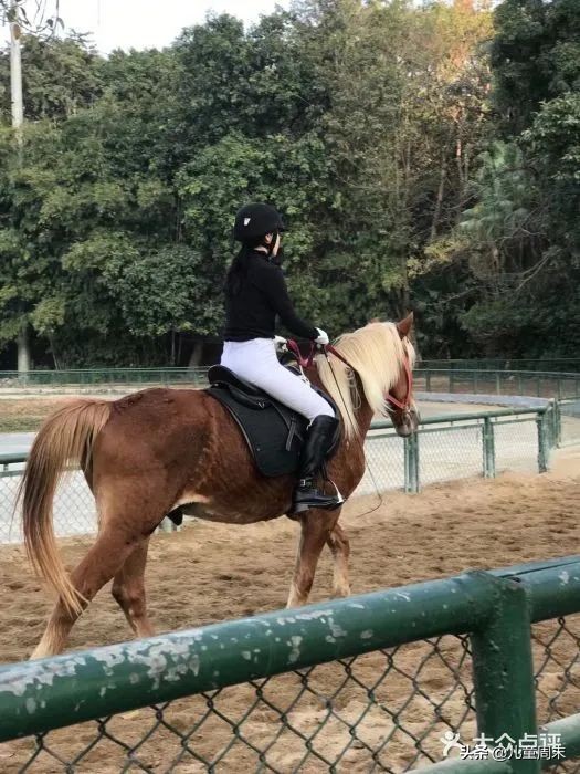 深圳海边骑马地点推荐,深圳骑马最佳地点