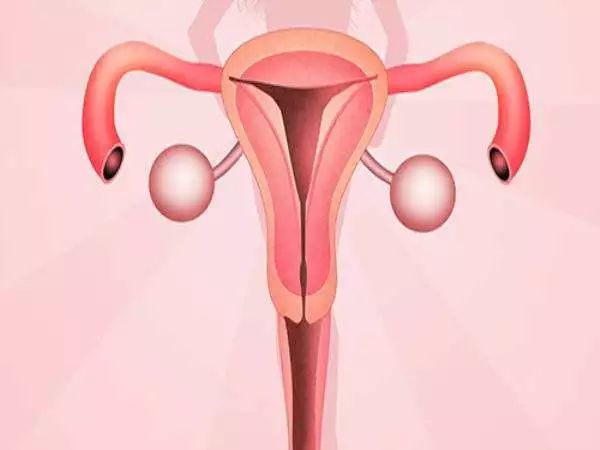 保护子宫和卵巢的瑜伽,瑜伽对子宫卵巢有好处的动作