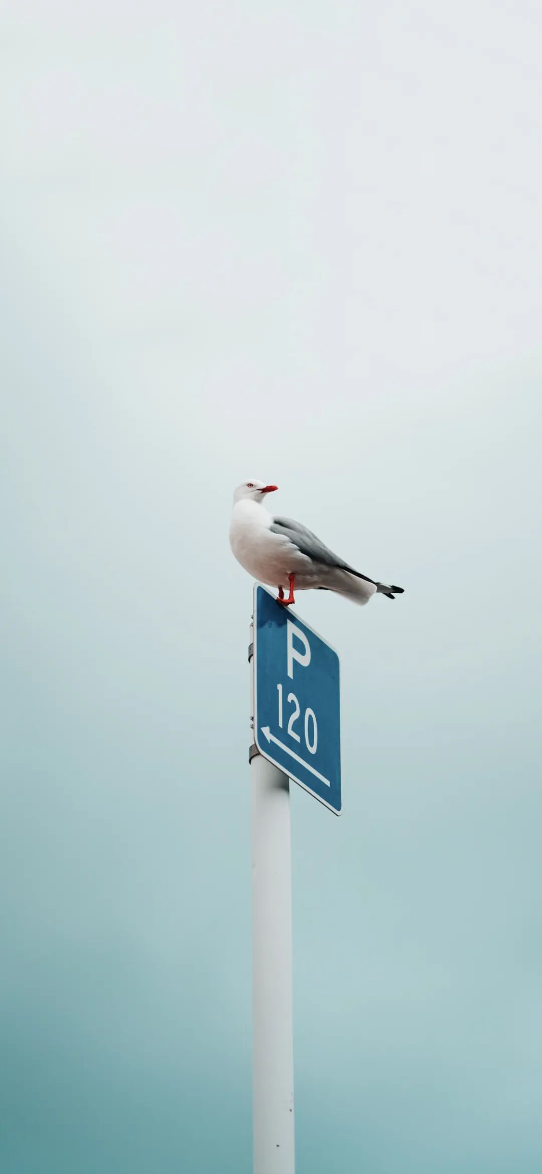 小清新全屏壁纸高清,小清新高清壁纸4k全屏无水印