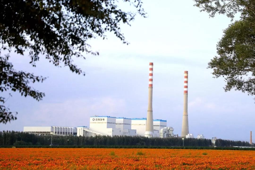 火电机组深度调峰负荷预测,发电机组深度调峰