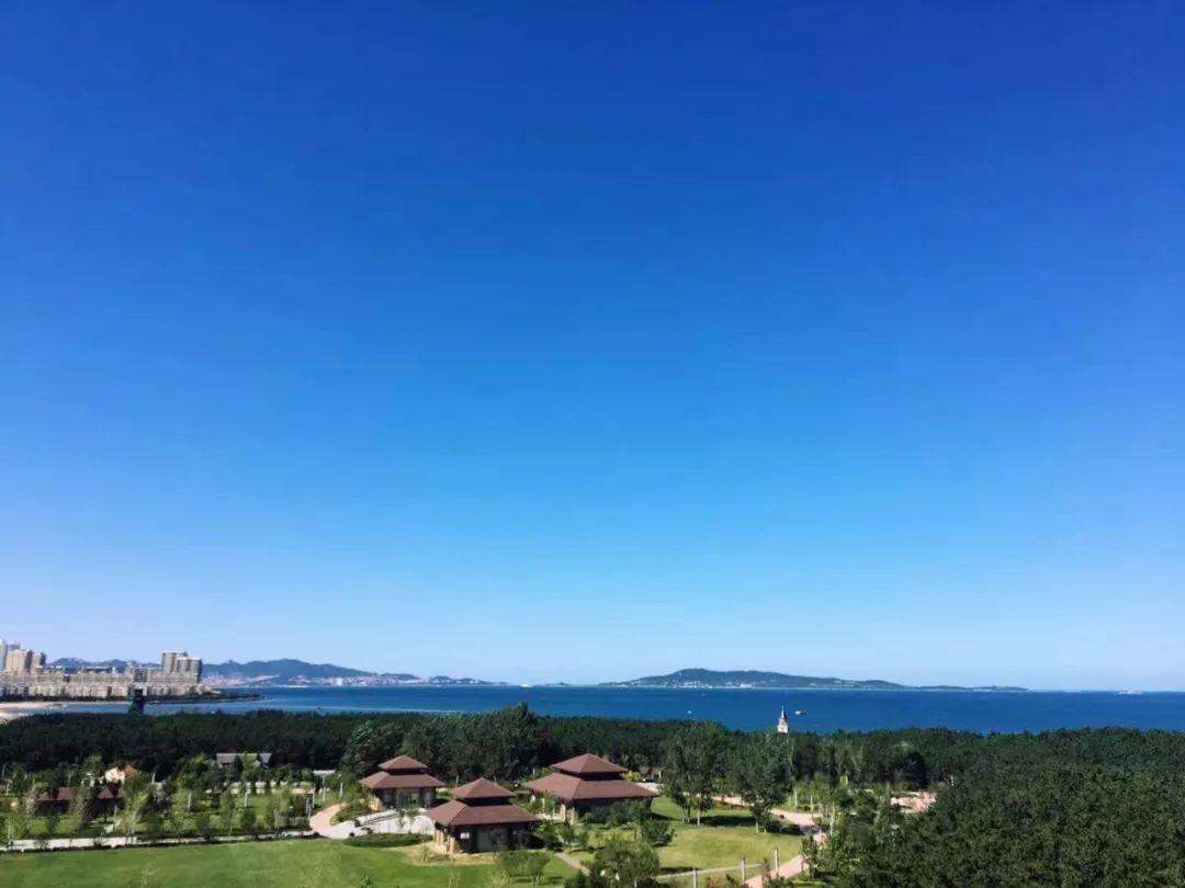 干货：在威海买房定居的河北人，做民宿一年的体验分享