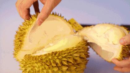 榴莲是不是热带水果之王,热带水果榴莲视频