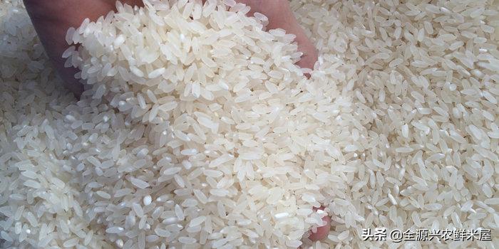 大米变黄了炒了煮了还能吃吗,大米变黄还能吃吗