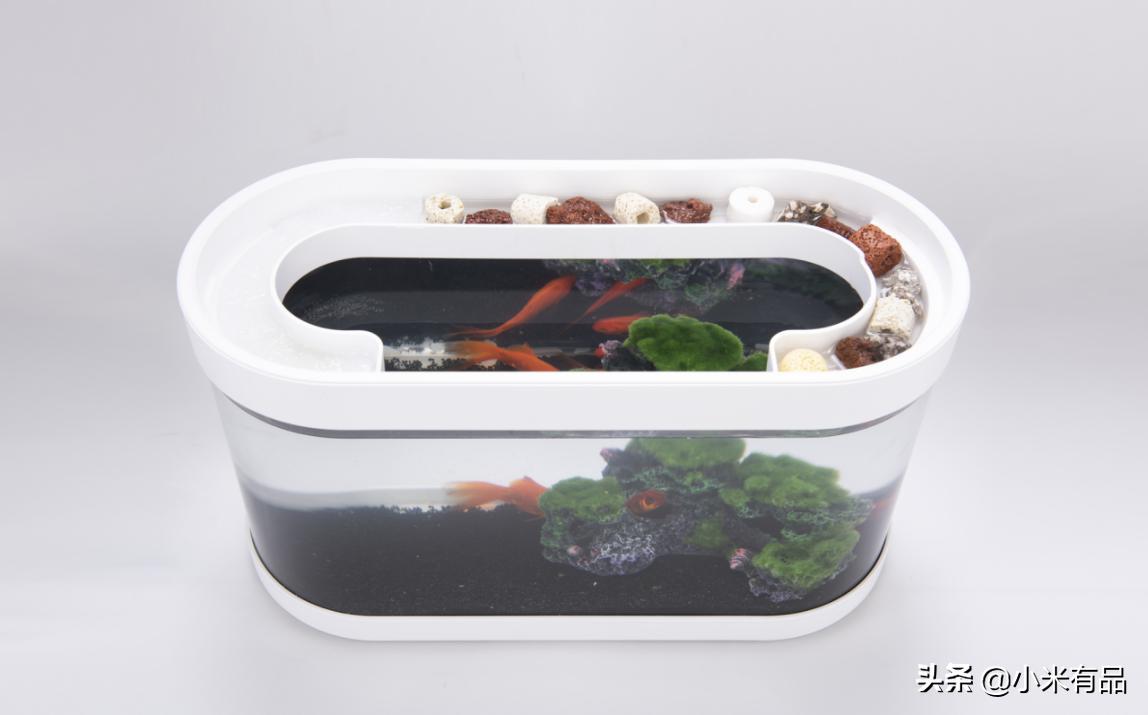 小米两栖生态鱼缸图片,小米生态小鱼缸