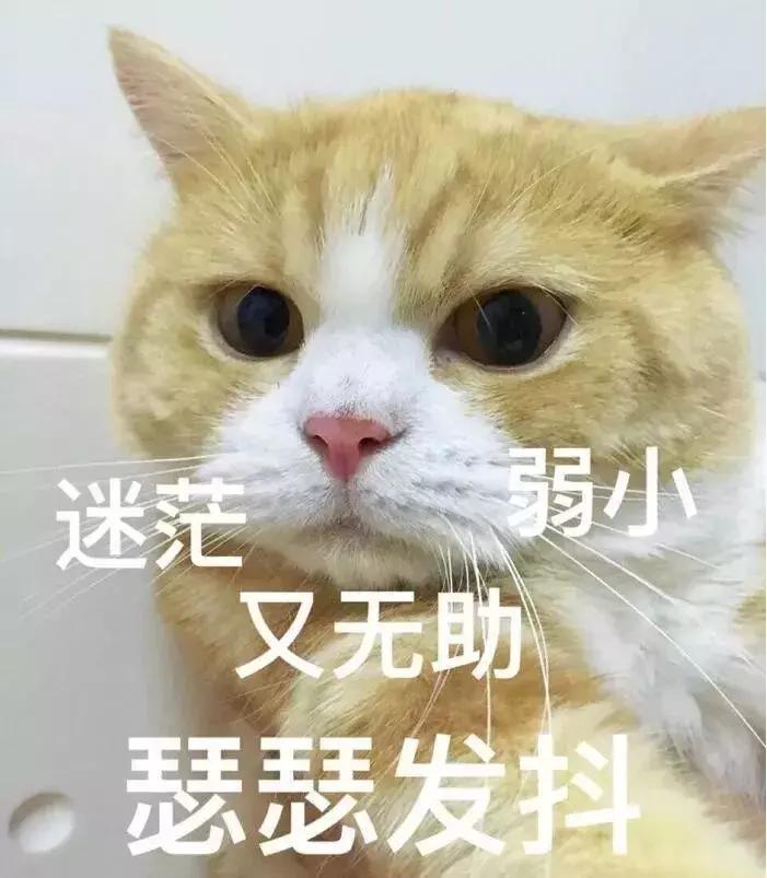 泰州首例：既做影院又当旅馆，私人影咖打法律擦边球被罚