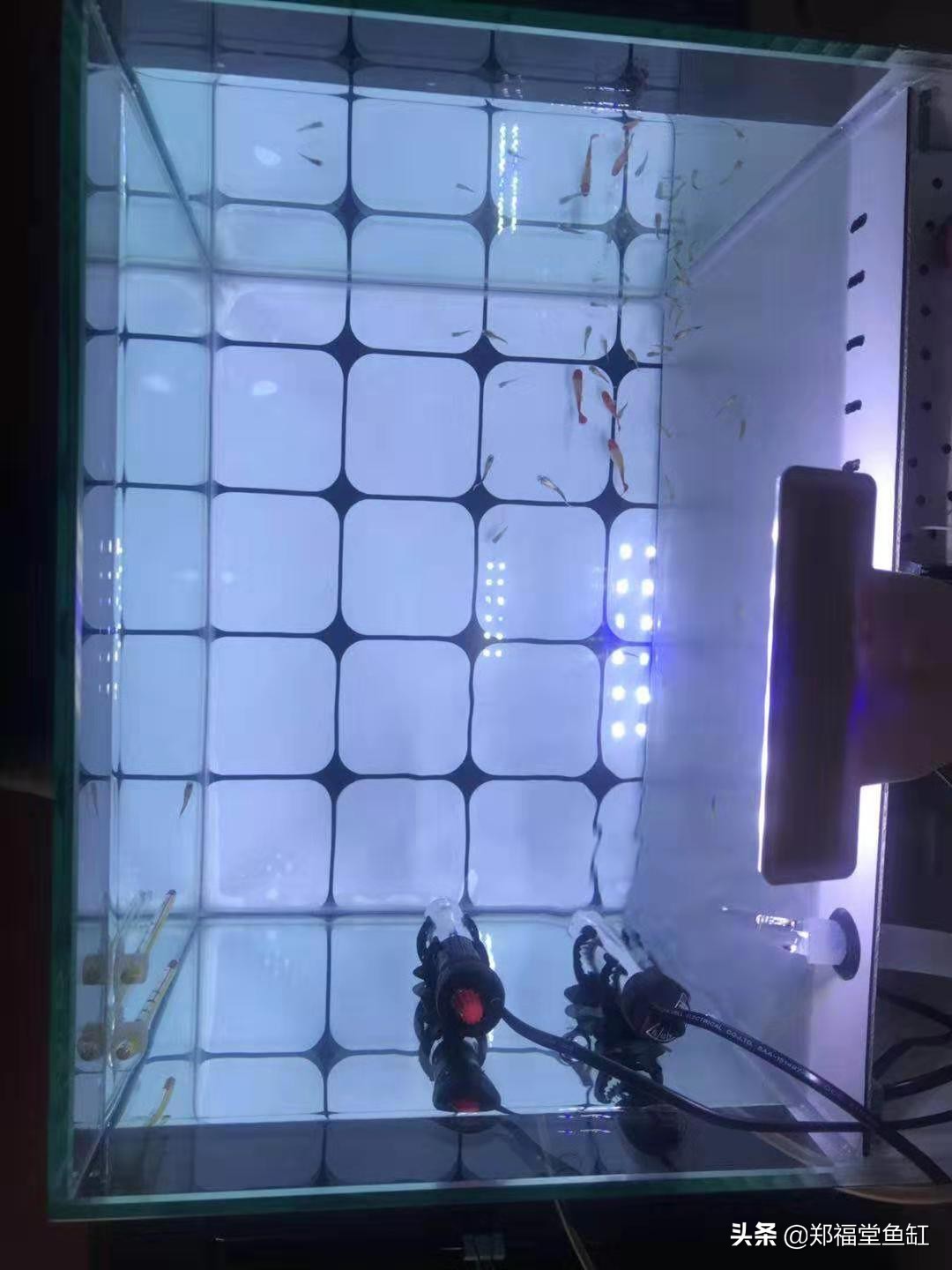 鱼缸线上线下买哪个便宜,买鱼缸一般包邮吗