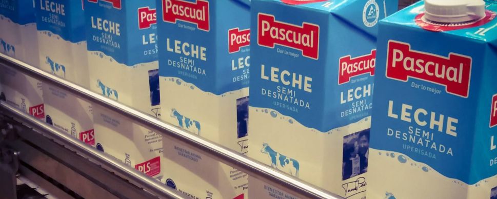 pascual西班牙酸奶,pascal西班牙