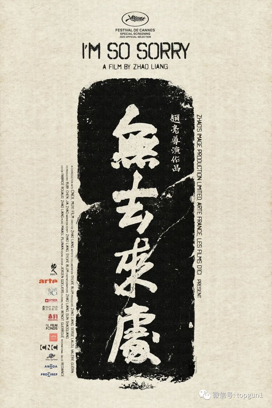 鍙版咕idf鎴樻枟鏈虹邯褰曠墖,idf瑗挎箹绾綍鐗囪妭