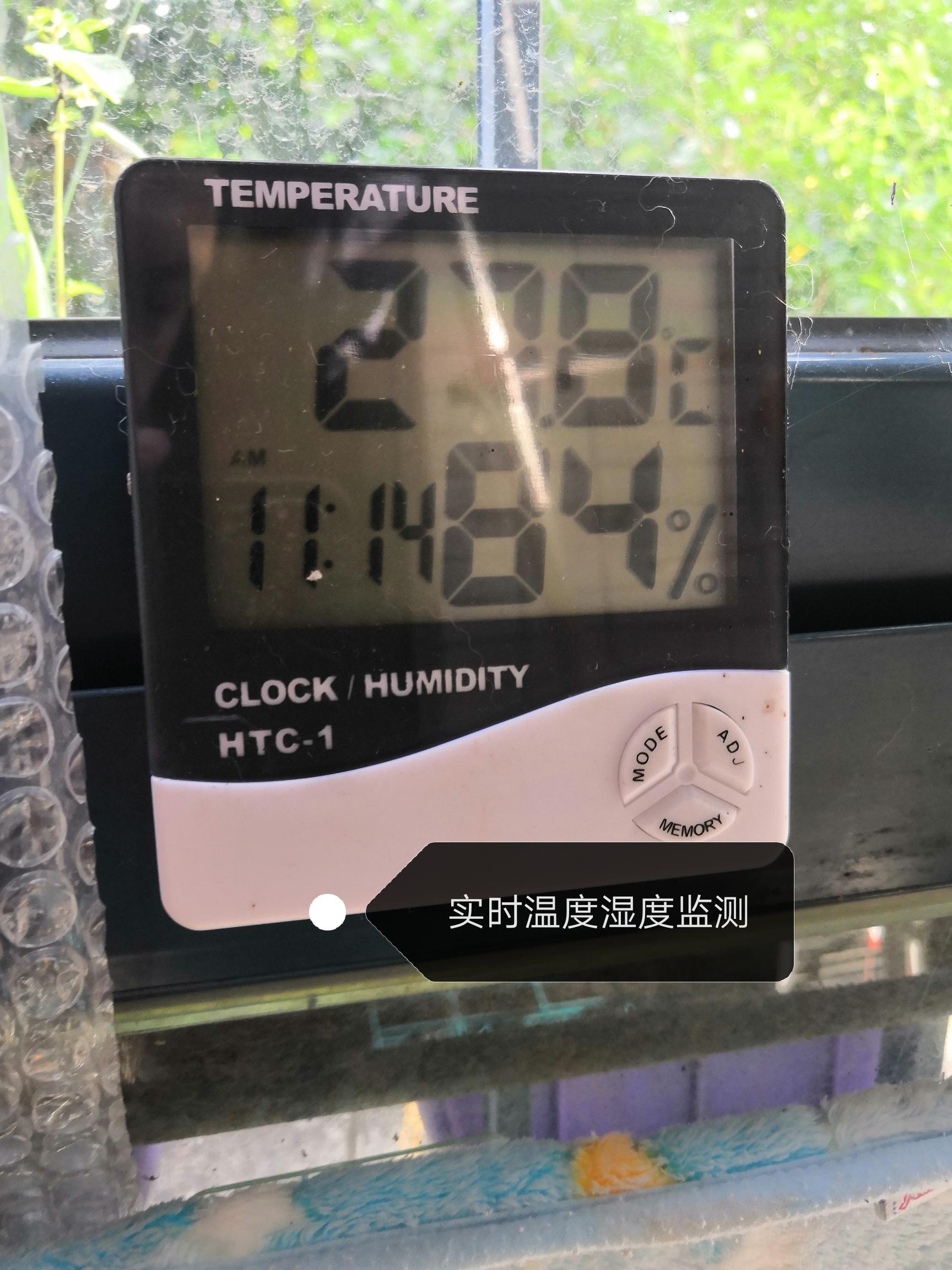 遛狗大爷传授养狗实用技巧,科学养狗狗攻略