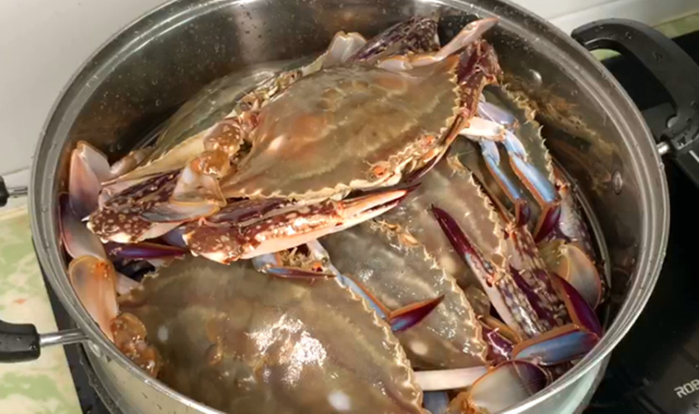 蒸螃蟹的做法用冷水或热水,蒸螃蟹冷水下锅还是热水下