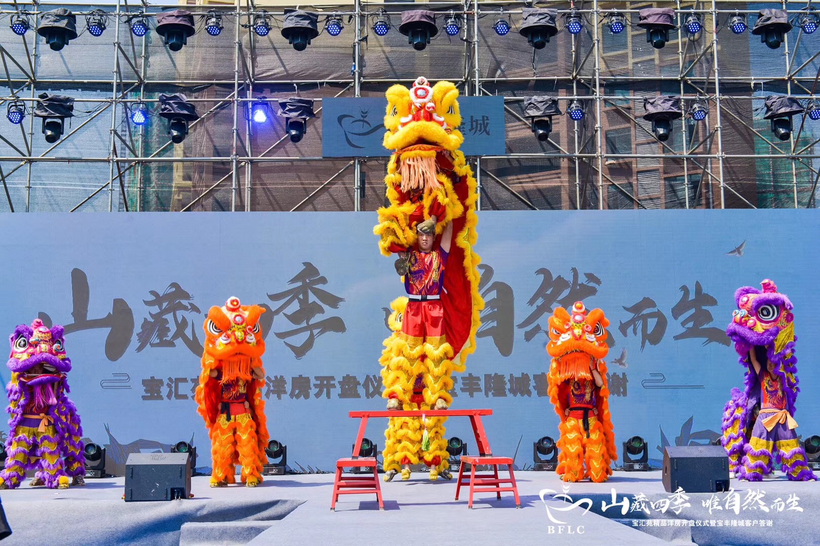 海南琼海公司开业舞狮表演多少钱?