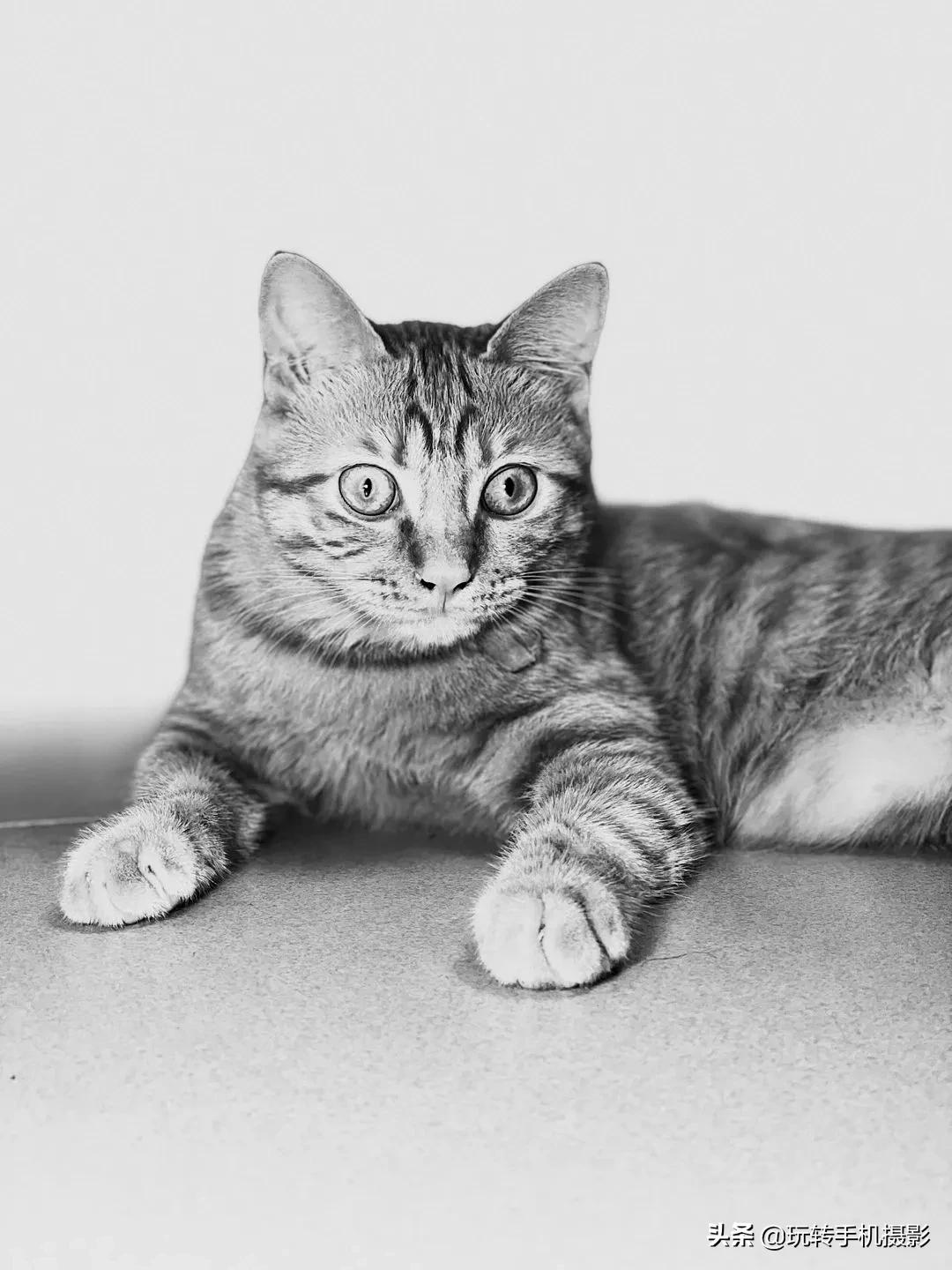 真羡慕那些不会用iPhone拍照的人