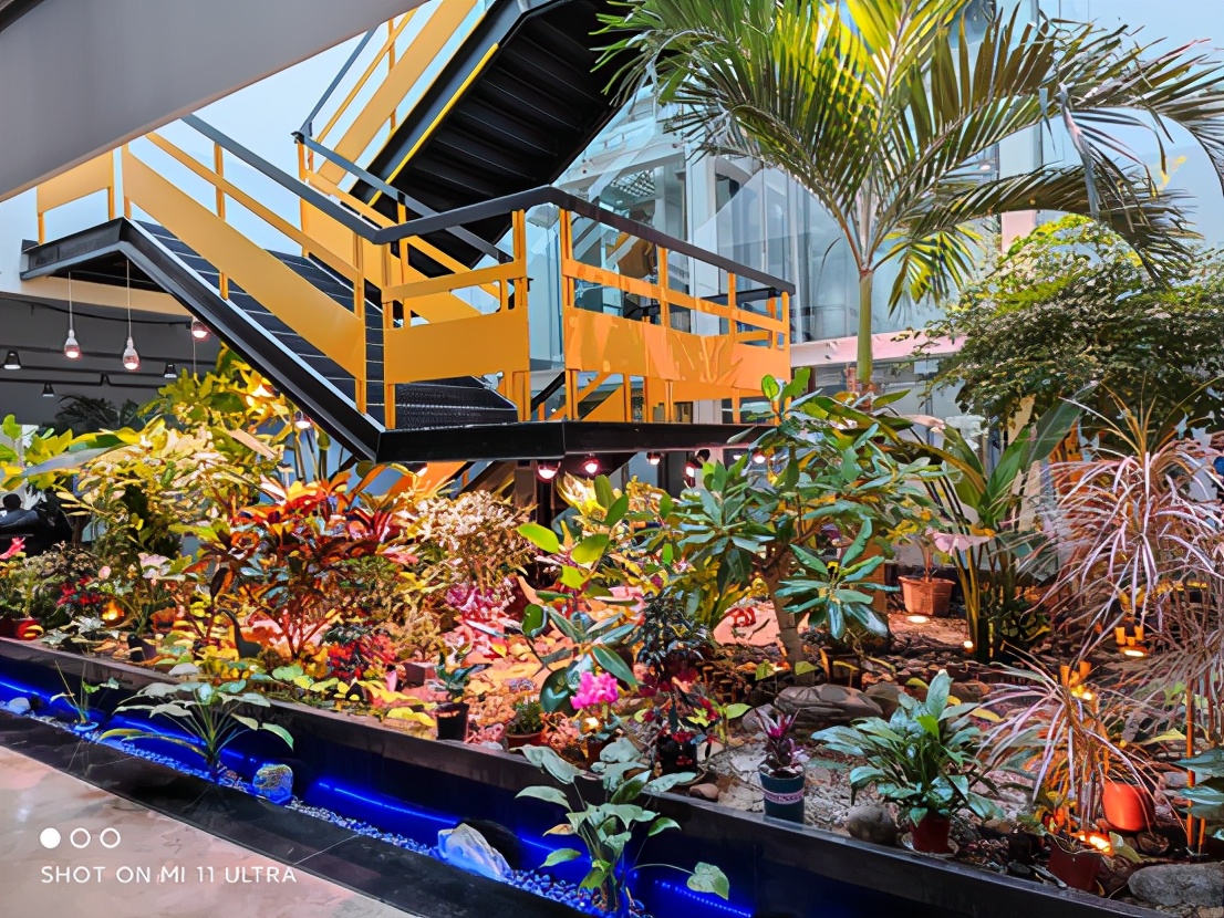 小米11ultra深度评测视频,小米11ultra烧wifi是真的吗