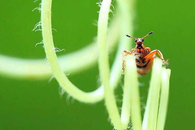 怎么面对女人之间的嫉妒,优秀的女人遭到同性的嫉妒吗