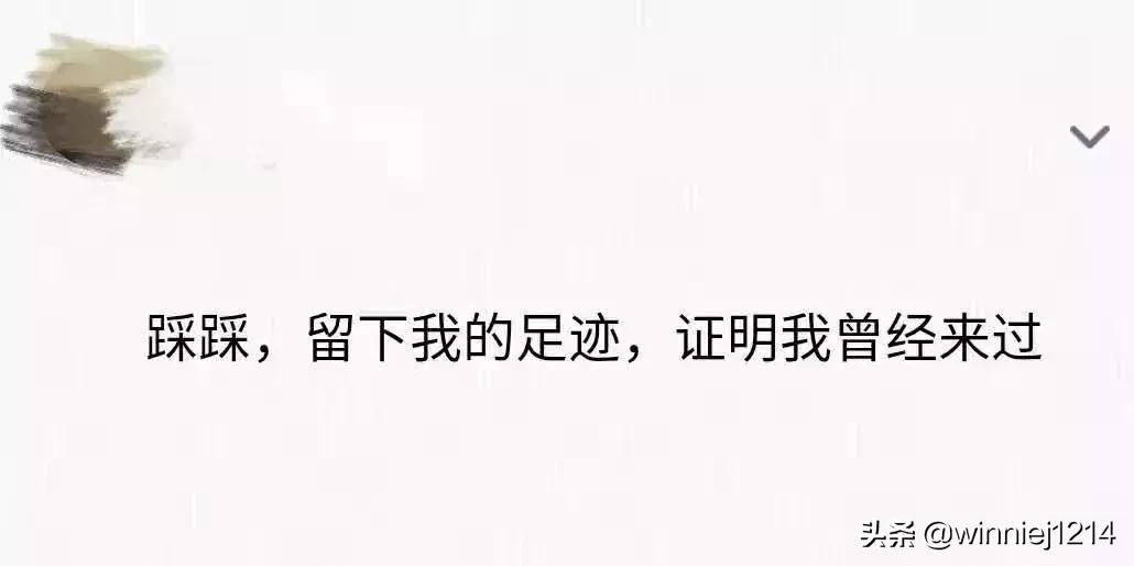 再见了!QQ!帐号注销来了!但第一批尝试的人…