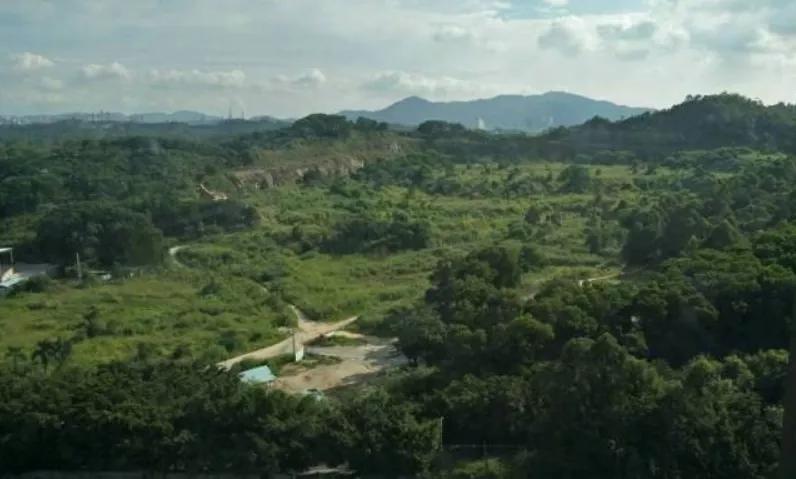 华为与龙华,霸气华为