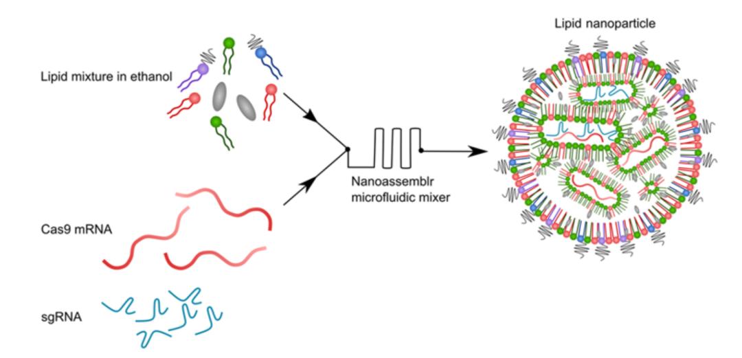 世界上第一例基因治疗的人,编辑基因治疗癌症