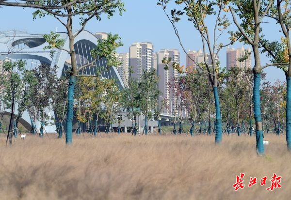 区块链来了,亚洲首发旗舰店也来了……8个项目落户长江新城