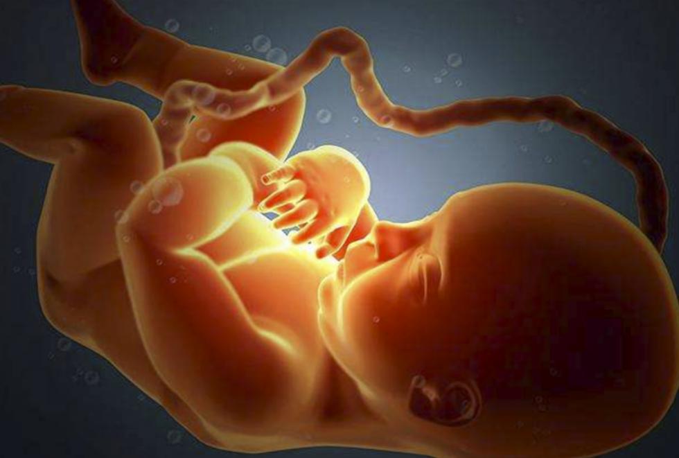 胎宝宝日常活动视频,胎宝宝运动视频