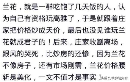 正品加密狗多少钱一只,加密狗最贵价值