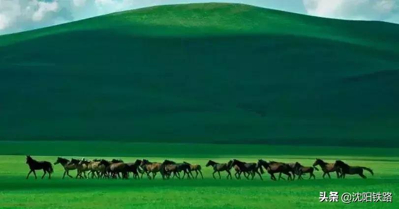 辽宁草原旅游列车,辽宁高铁首次去草原的消息