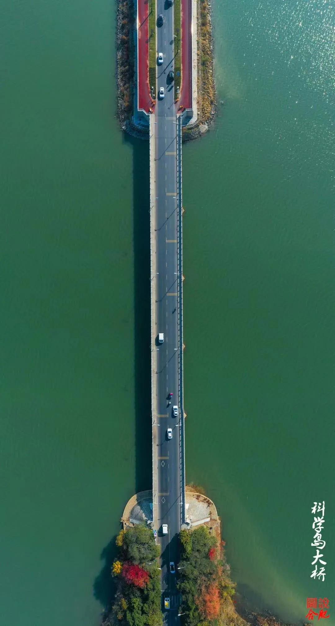 合肥春节免费景点一览表,合肥网红免费打卡景点