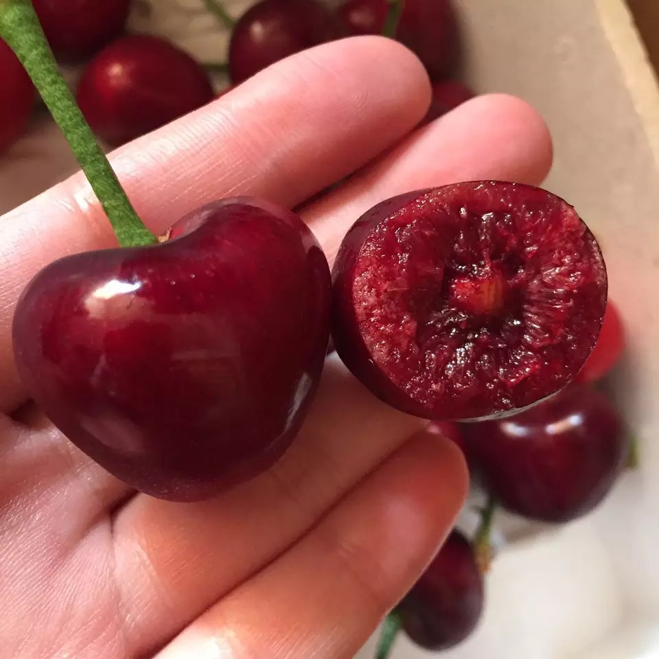 糖尿病可以吃樱桃和车厘子吗,北方的小樱桃糖尿病人能吃吗