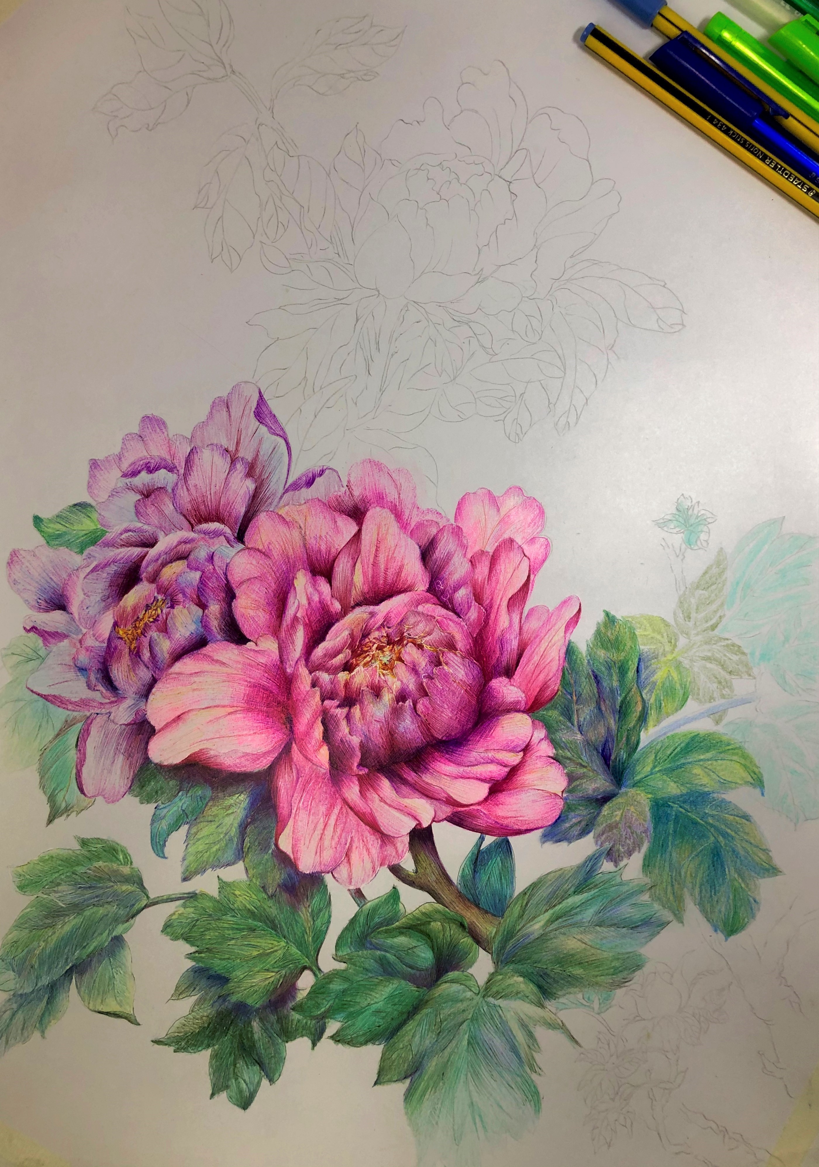 圆珠笔画牡丹教学,圆珠笔画牡丹的画法