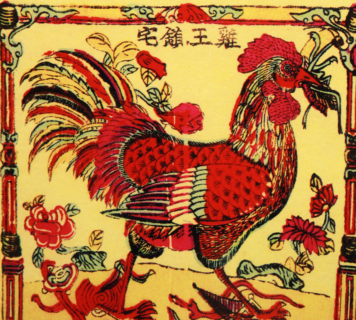 野生蜈蚣咬了怎么处理,农村蜈蚣不小心咬伤怎么办