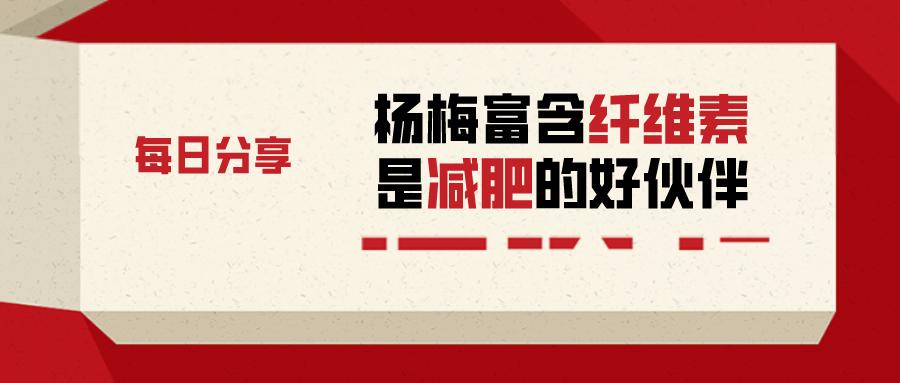 杨梅果酱能酿酒吗,杨梅吃不完的小妙招