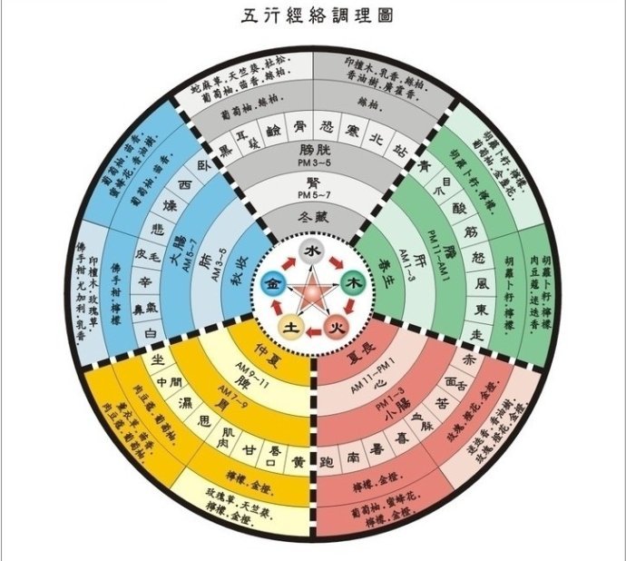 传统五术是什么,道家五术的说法来自于哪里