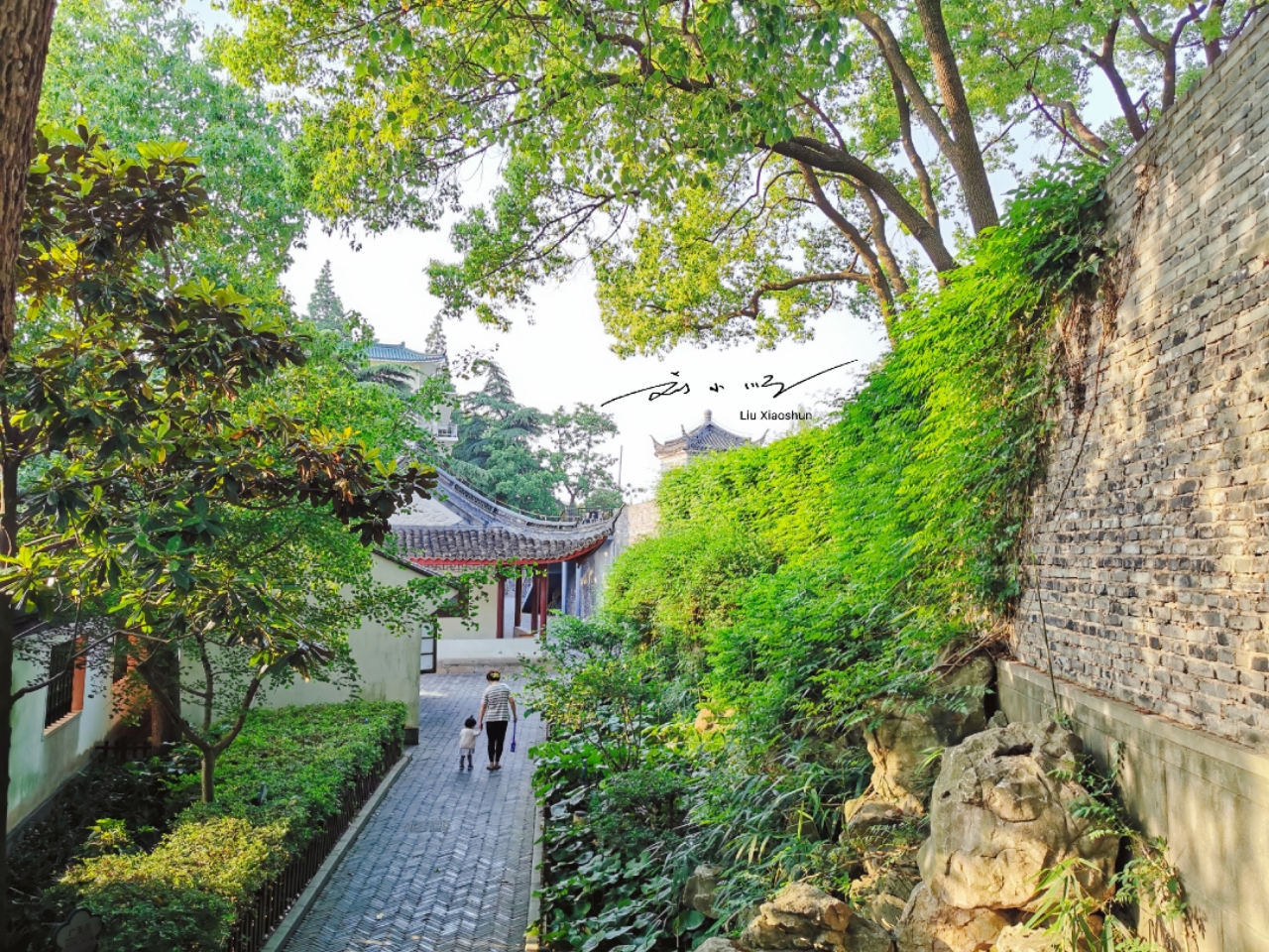 川沙古镇五一假期,魔都休闲好去处川沙古镇