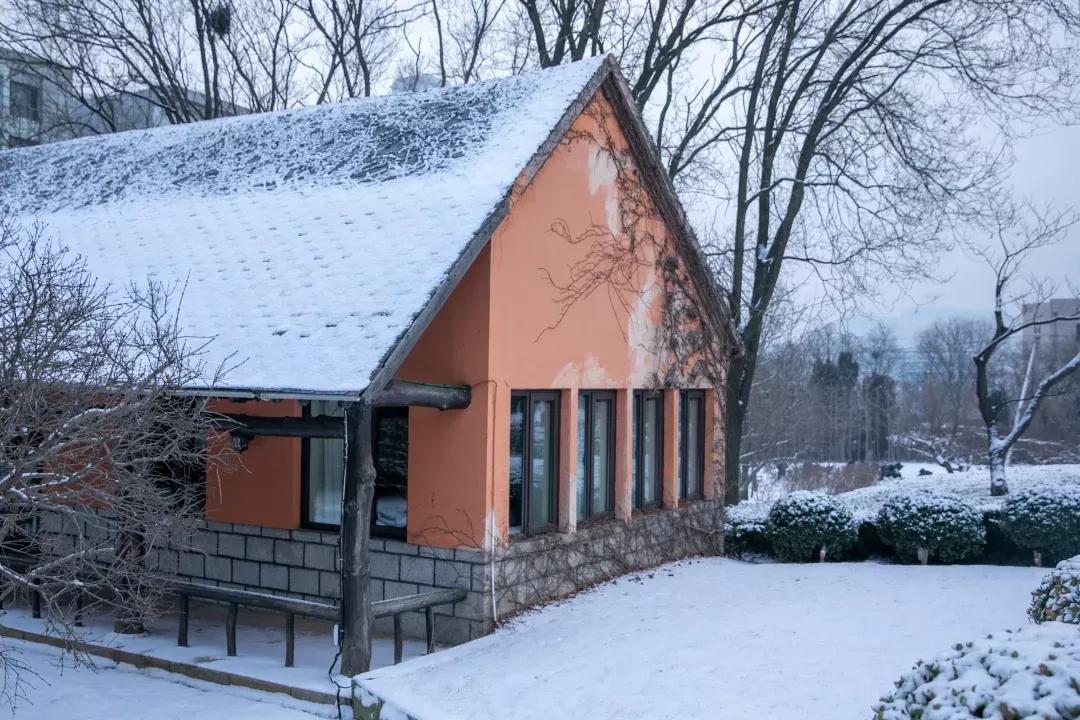 民办学校大连艺术学院全国排名,大连艺术学院辽宁排名