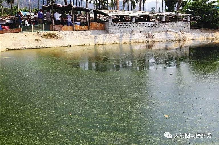 养殖水质的管理技术,养殖水体增产的方法