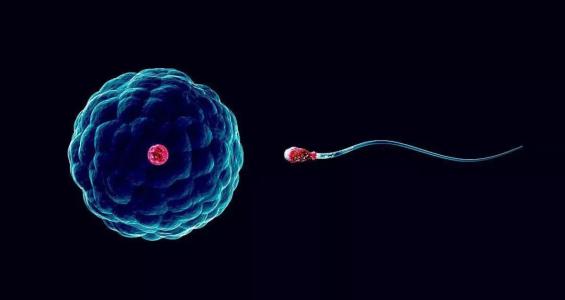 自己家的婴儿不是想要的性别，要怪就怪男方！