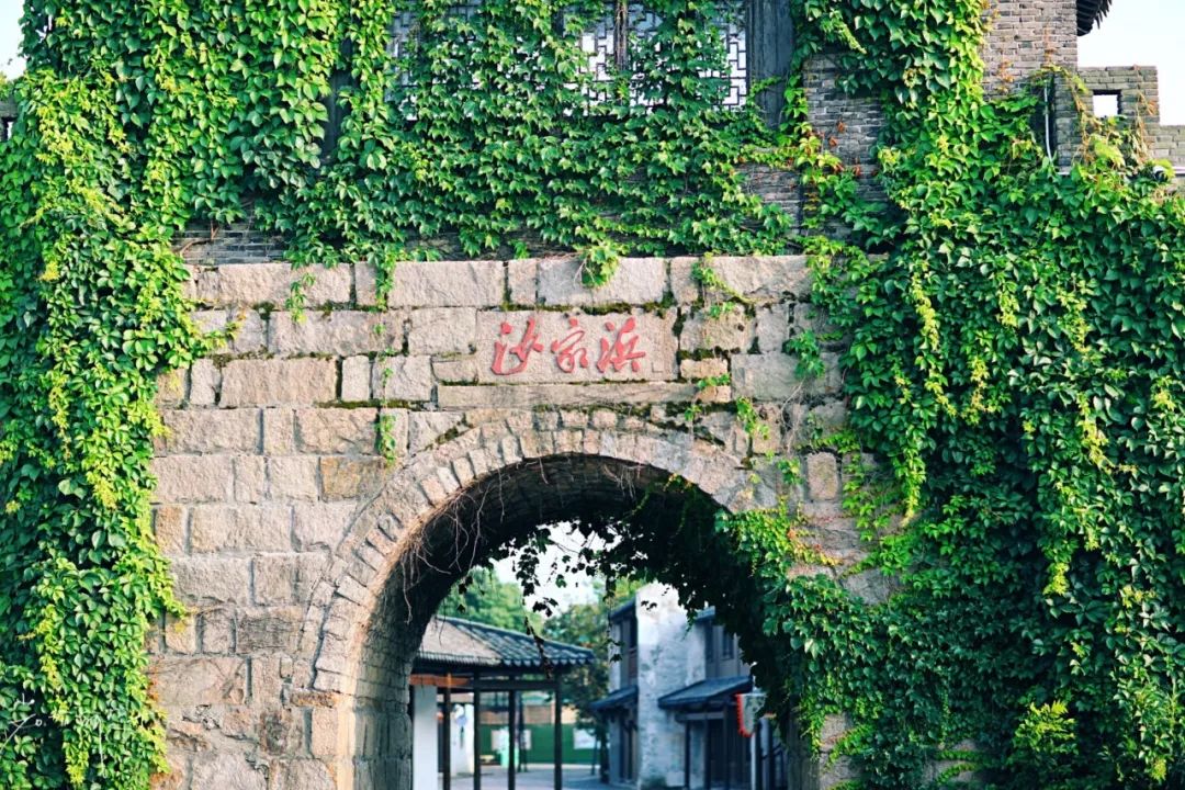 娌欏娴滅殑绱壊鑺辨捣,娌欏娴滈鏅尯鑺辨捣