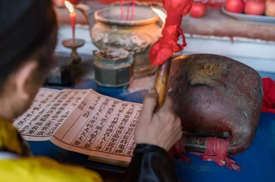 青城山熊猫谷都江堰一日游攻略,熊猫谷青城山都江堰一日游攻略