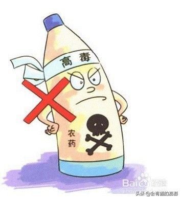 驱虫药买便宜了导致猫藓,驱虫项圈和驱虫药哪个好