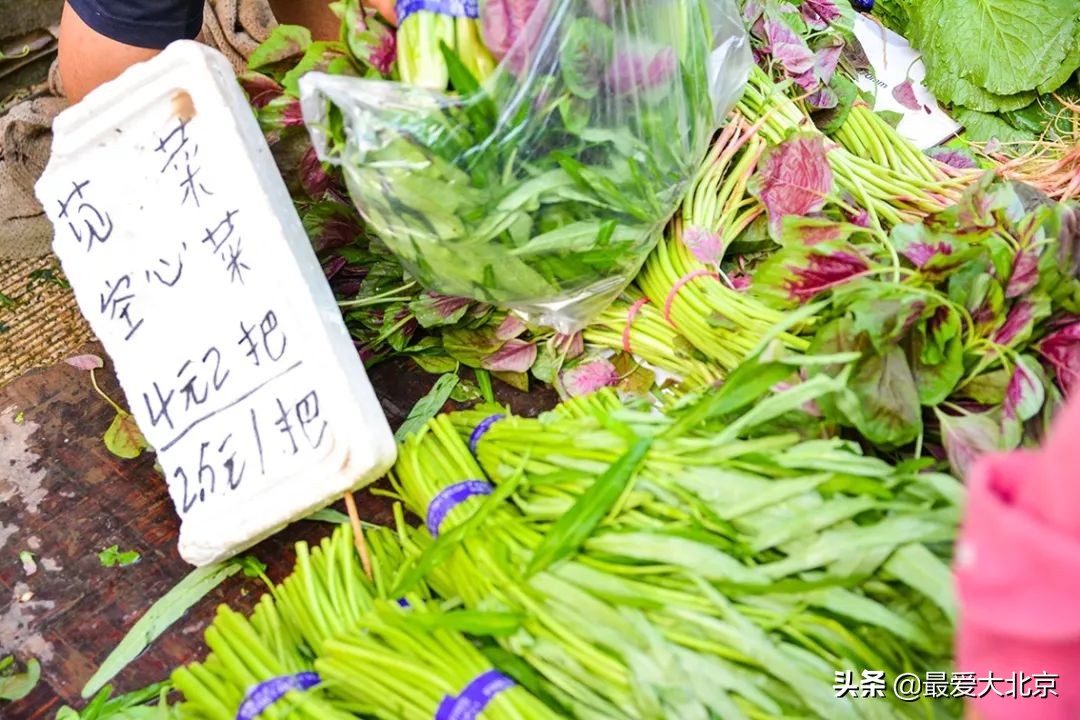 带你逛北京最大早市,北京正宗早市推荐