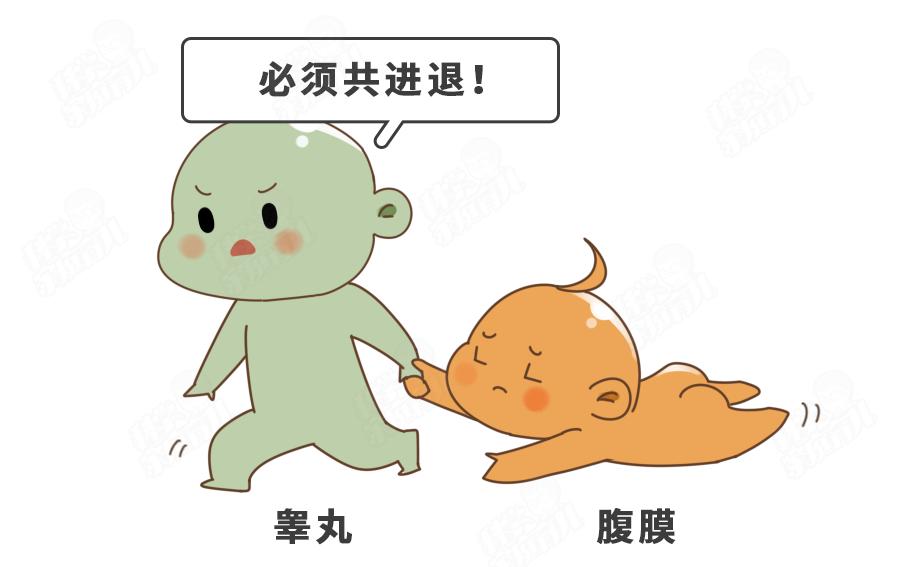 蛋蛋一高一低、一大一小正常吗?男娃5大*处私**问题,错不起