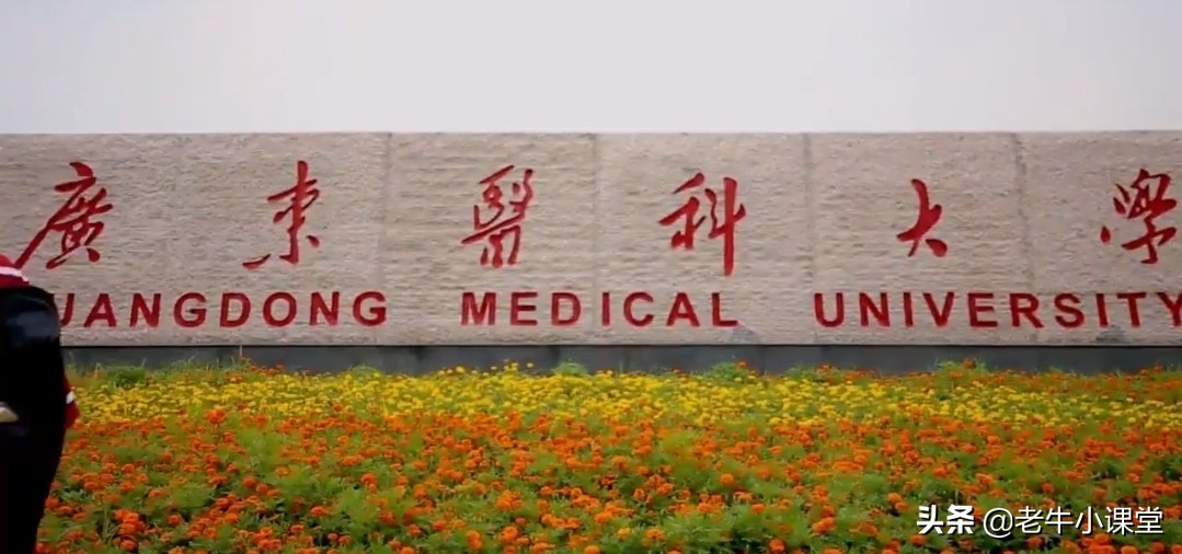 广东医科大学一本还是二本,广东医科大学湛江和东莞校区区别