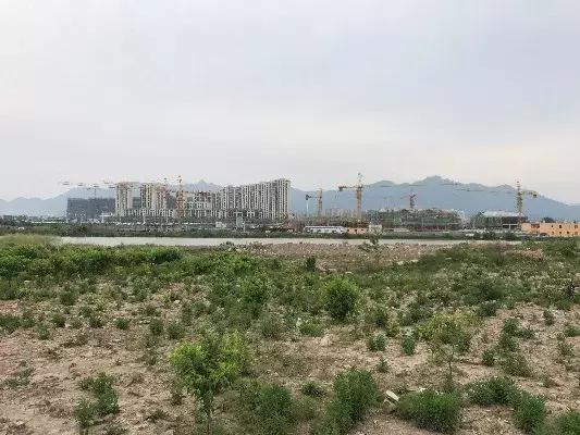 温州七都江心明月最新视频,温州江心明月双拼别墅