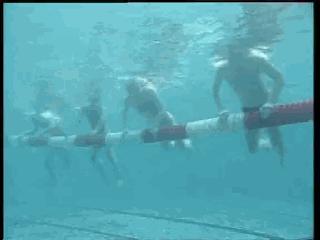 爬泳转身技术,爬泳中后交叉教学