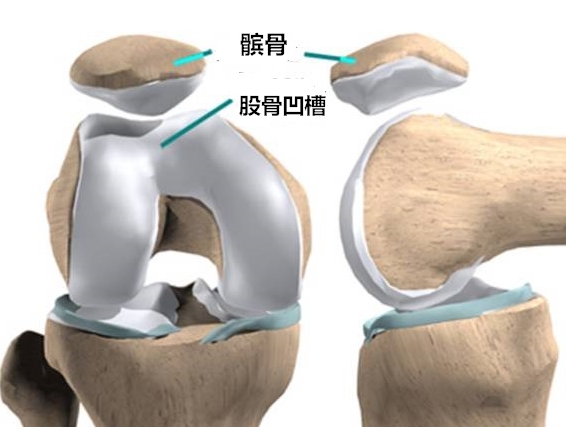 膝关节咔咔响隐隐作痛,下蹲时膝关节有小咔咔声