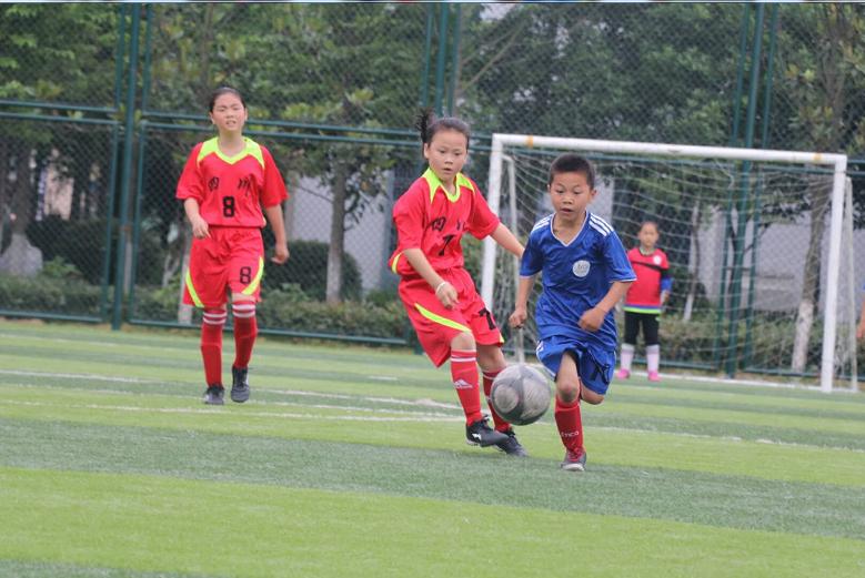 一冠一亚赛事链接,两项比赛