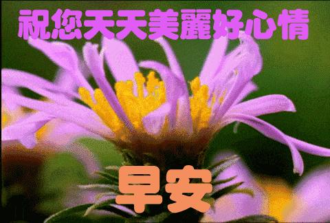 早上发的早安问候语简短,清晨早安温馨问候语集锦