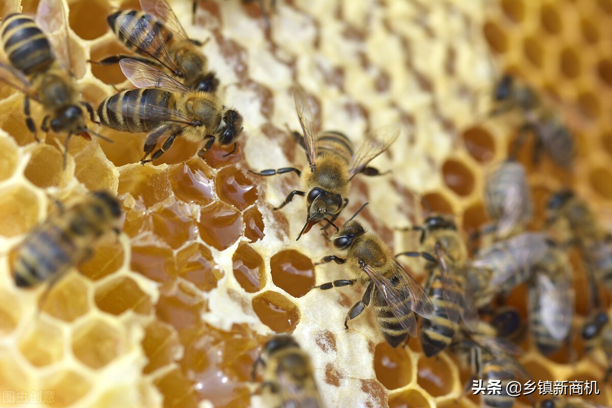 农民返乡创业有哪些好项目可以做,今年农村创业哪些项目最赚钱