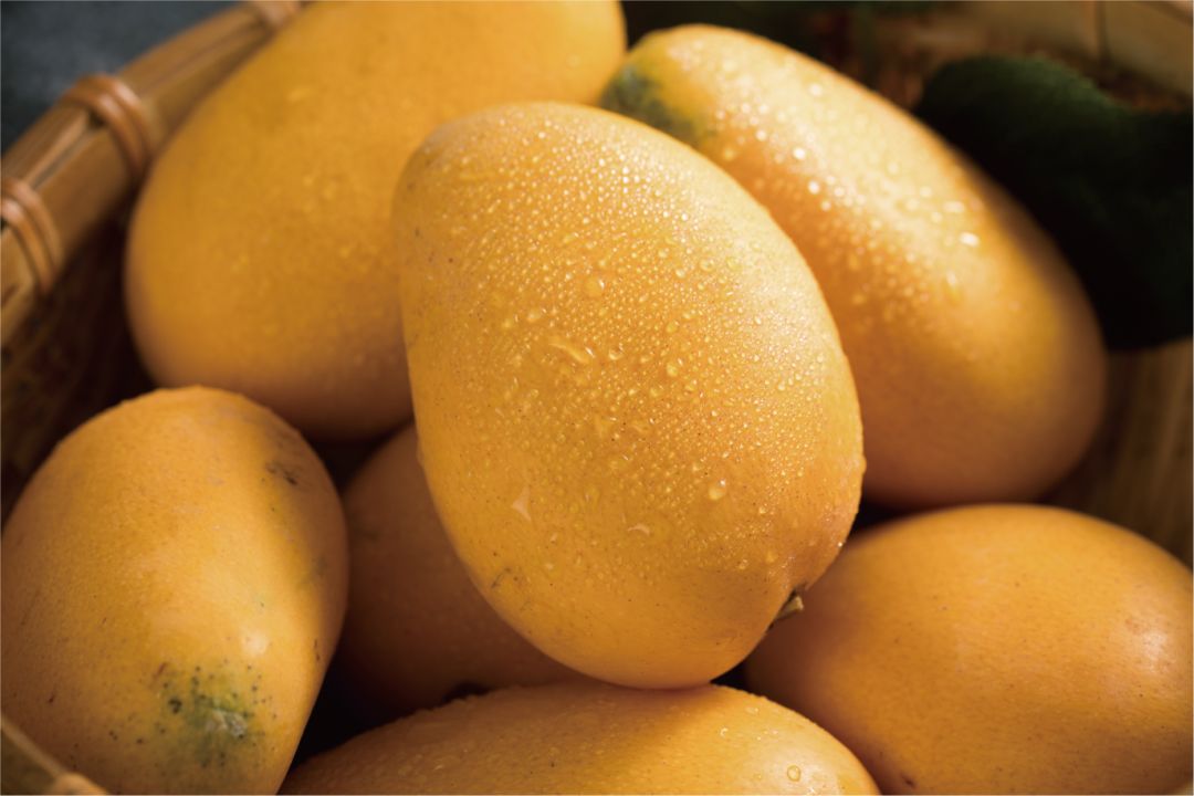 卢家妈妈盈利模式,卢家妈妈一个披萨多少钱